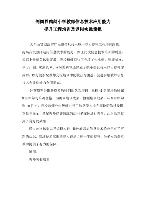 鹤龄小学信息提升能力培训简报