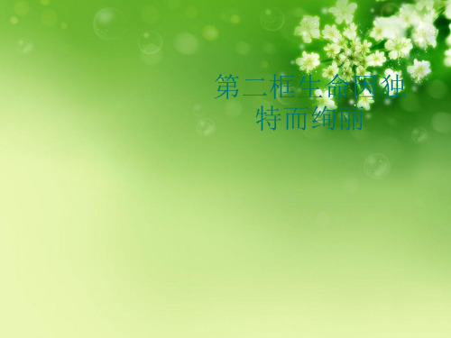 第二框生命因独特而绚丽优秀课件