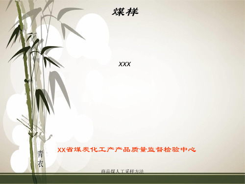 商品煤人工采样方法 ppt课件