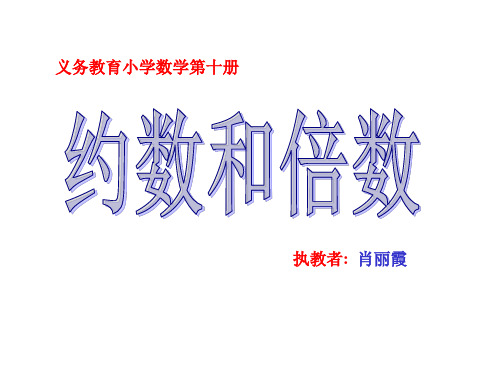 约数和倍数课件