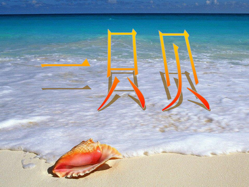 小学语文S版四上《一只贝》PPT课件