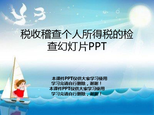税收稽查个人所得税的检查幻灯片PPT