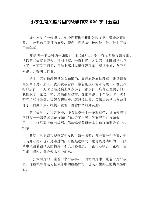 小学生有关照片里的故事作文600字【五篇】