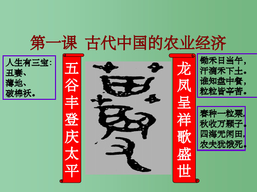 高中历史《第1课发达的古代农业》 新人教版必修2