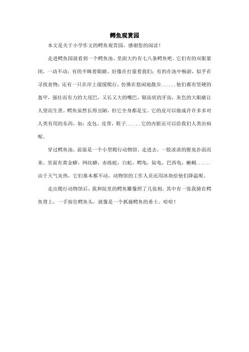 鳄鱼观赏园_小学作文
