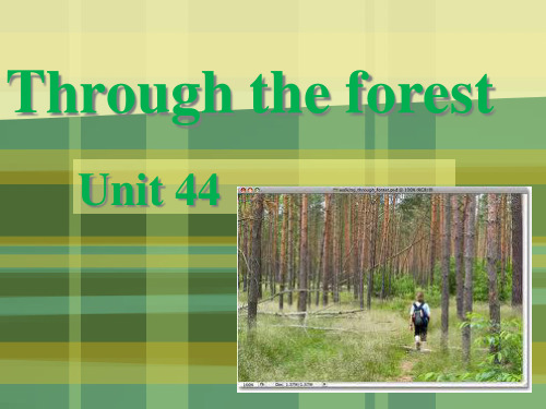新概念二Unit44Throughtheforest课文讲解