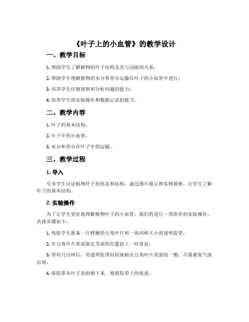 《叶子上的小血管》的教学设计