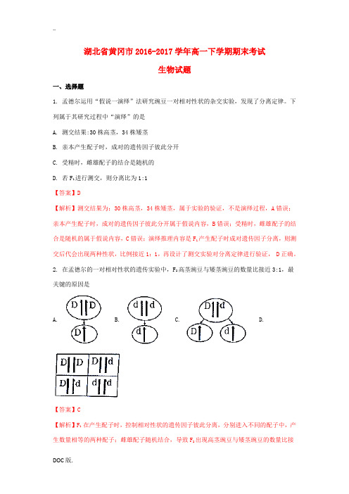 湖北省黄冈市高一生物下学期期末考试试题(含解析)-人教版高一全册生物试题