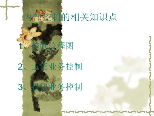 企业内部控制及流程图.pptx