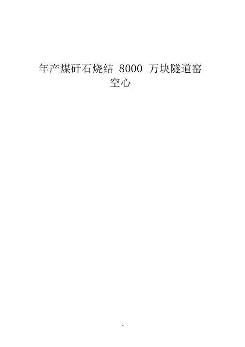 xxxx建材煤矸石烧结空心砖项目可研报告.doc
