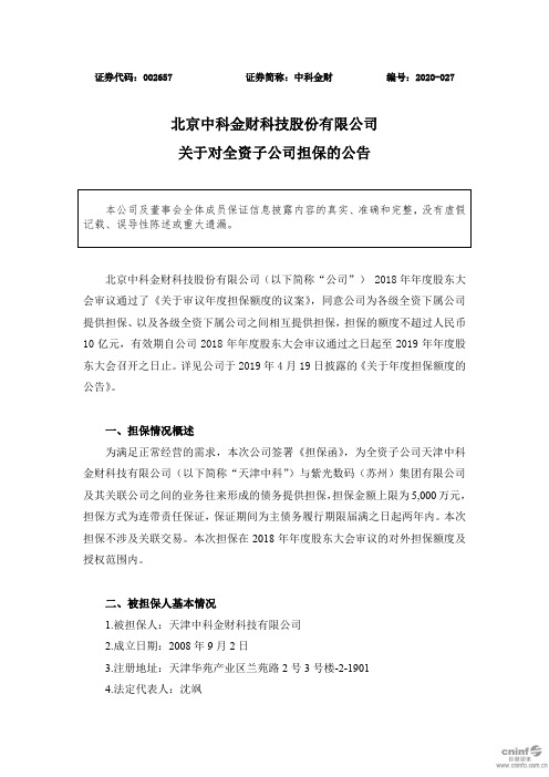 中科金财：关于对全资子公司担保的公告