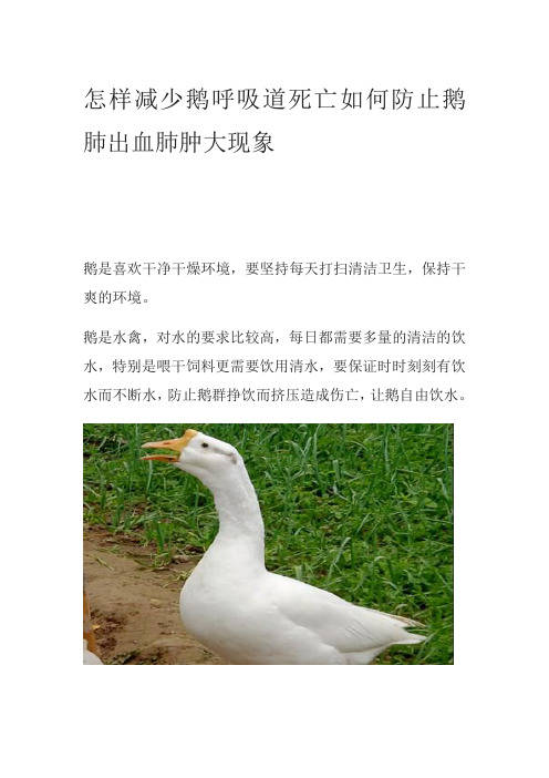 怎样减少鹅呼吸道死亡如何防止鹅肺出血肺肿大现象