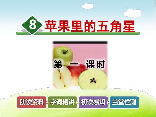 苹果里的五角星PPT