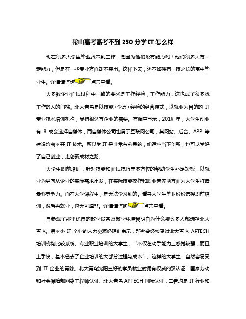 鞍山高考高考不到250分学IT怎么样
