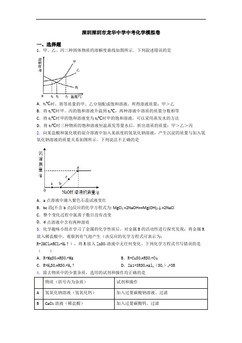 深圳深圳市龙华中学中考化学模拟卷