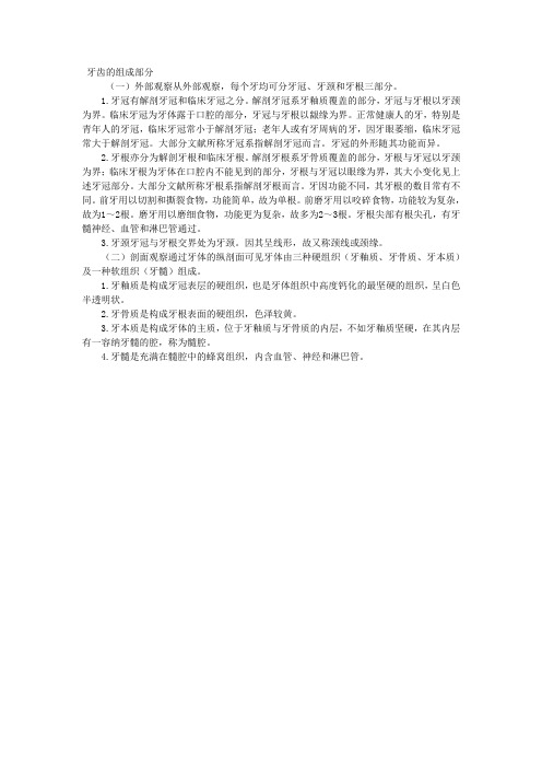 牙齿的组成部分
