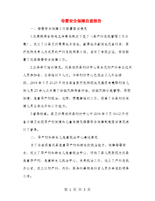 母婴安全保障自查报告