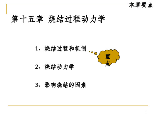 烧结过程动力学