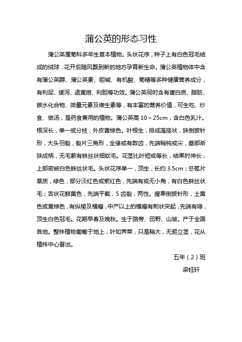 蒲公英的形态习性和生境与分布