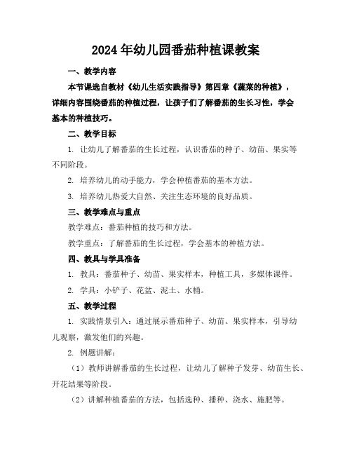 2024年幼儿园番茄种植课教案