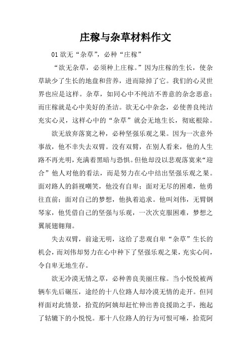 庄稼与杂草材料作文