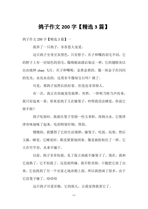 鸽子作文200字【3篇】