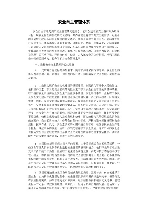 安全自主管理体系建设