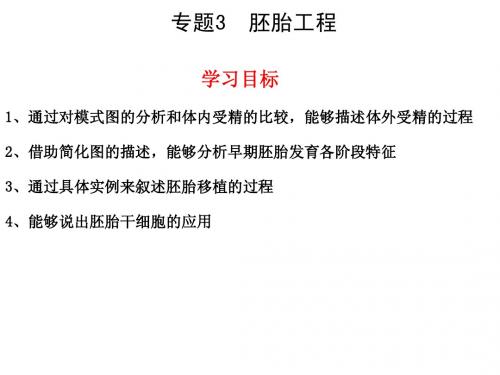 选修3.3胚胎工程复习课