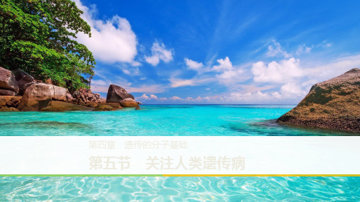 【最新】同步备课套餐之高一生物苏教版必修2课件：第四章 第五节.ppt