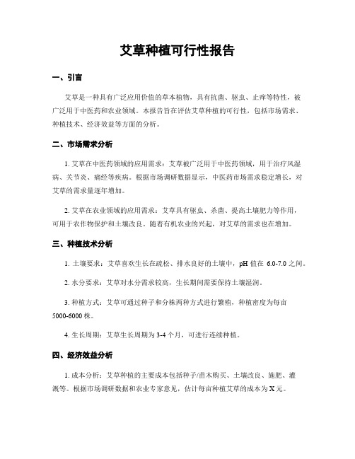 艾草种植可行性报告