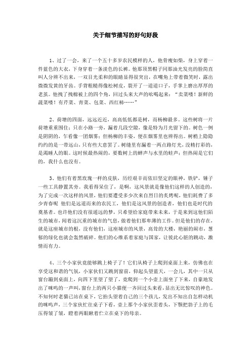 关于细节描写的好句好段