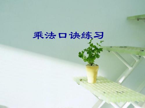 乘法口诀练习.PPT