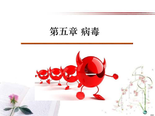 《病毒》2PPT课件  图文