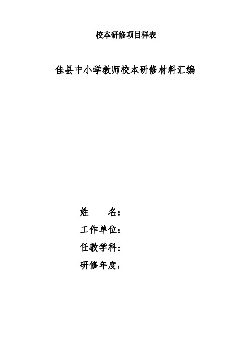 校本研修项目样表