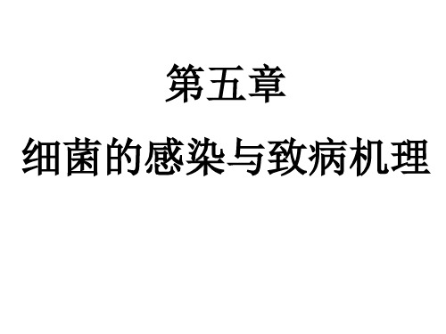 细菌的感染与致病性
