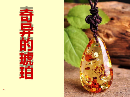 202X语文A版语文五下《奇异的琥珀》ppt课件