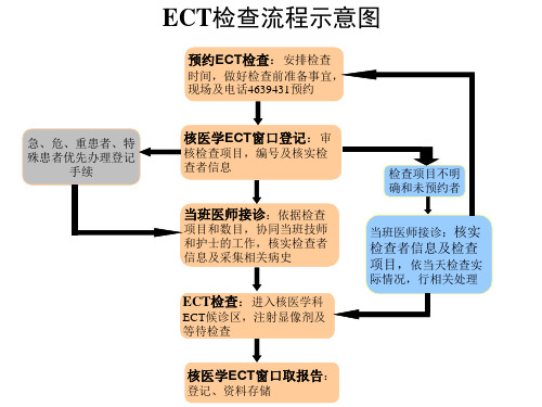 ECT检查流程示意图