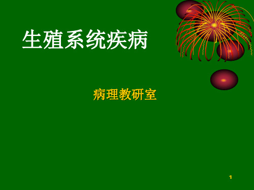 生殖系统疾病PPT课件