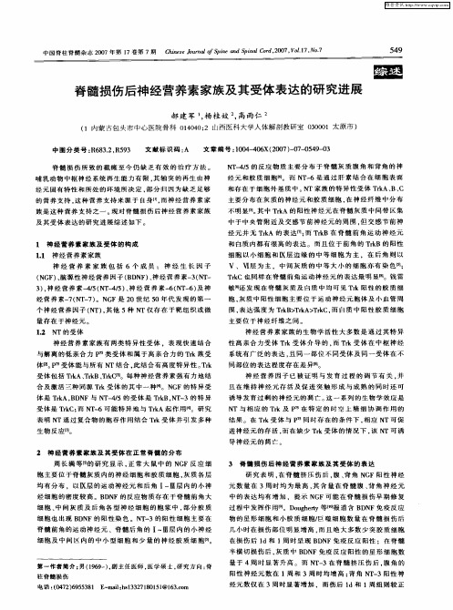 脊髓损伤后神经营养素家族及其受体表达的研究进展