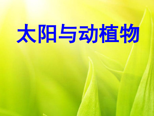 六年级下册科学课件-3.9  太阳和动植物丨鄂教版  (共24张PPT)