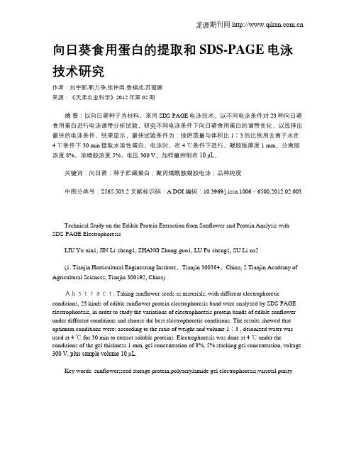 向日葵食用蛋白的提取和SDS-PAGE电泳技术研究