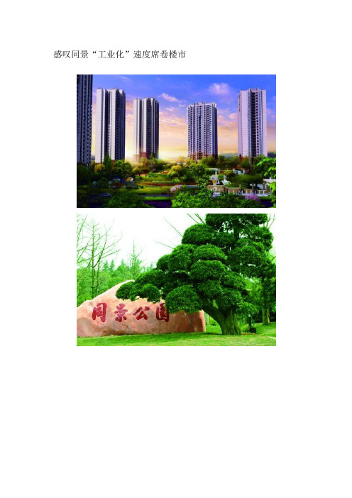 【】重庆商报：感叹同景“工业化”速度席卷楼市