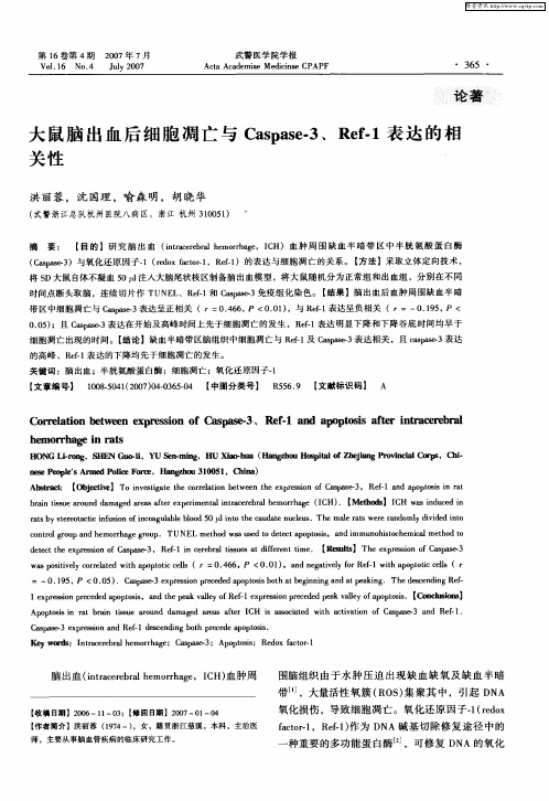 大鼠脑出血后细胞凋亡与Caspase-3、Ref-1表达的相关性