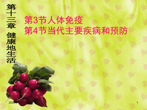 人体免疫ppt-北师大版七下PPT课件