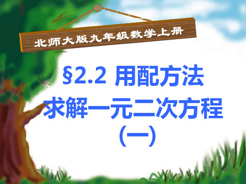 北师大版数学九年级上册2.2.1用配方法解二次项系数不是1的一元二次方程课件(共15张PPT)
