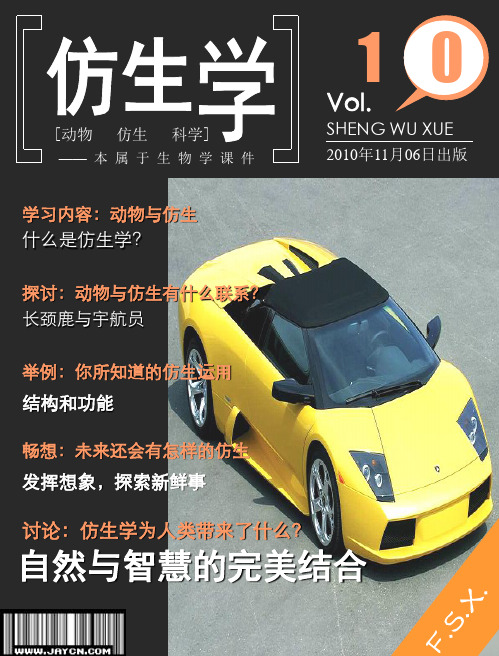 动物与仿生(精)