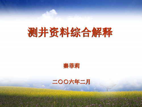 测井资料解释