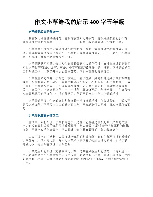 作文小草给我的启示400字五年级