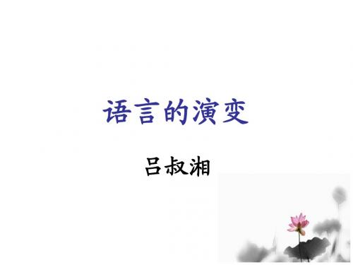 语言的演变