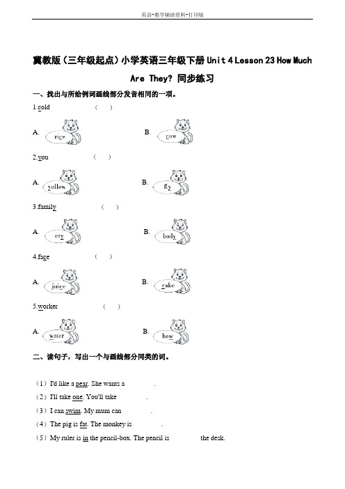 冀教版(三起)-英语-三下-Unit4 Lesson23 How Much Are They课堂练习